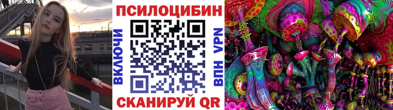Галлюциногенные грибы Cubensis  Купить закладки  Ивантеевка 